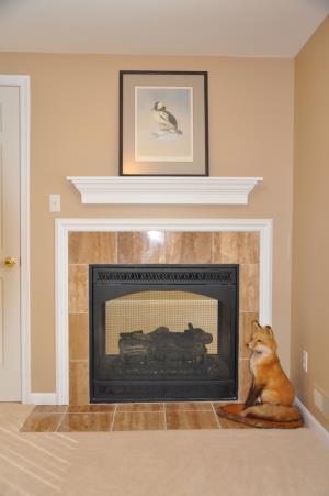 Fireplace Installation