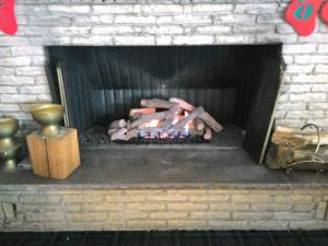 Empire 30 Inch Vent Free Ponderosa Log Set With Slope Glaze Burner