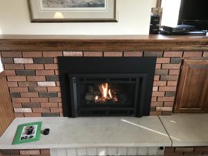 Avalon Radiant Plus Small Gas Insert